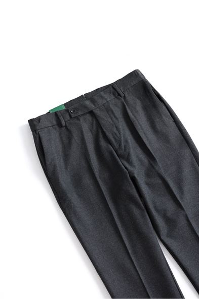 Alvion Gri Erkek Pantolon
